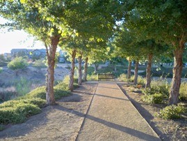 Creek Park path