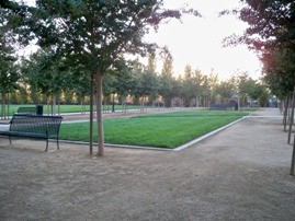 Wicklund Park lawn