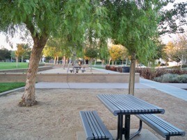 Wicklund Park picnic